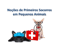 Aula 07 Noções de Primeiros Socorros em Pequenos Animais.pdf